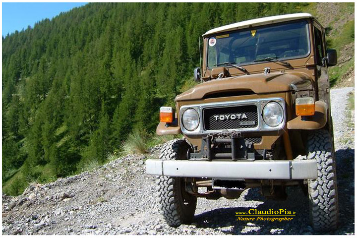 Toyota Land Cruiser BJ42, fiori di montagna, fiori della Liguria, alpi Liguri, appennino ligure, Val d'Aveto